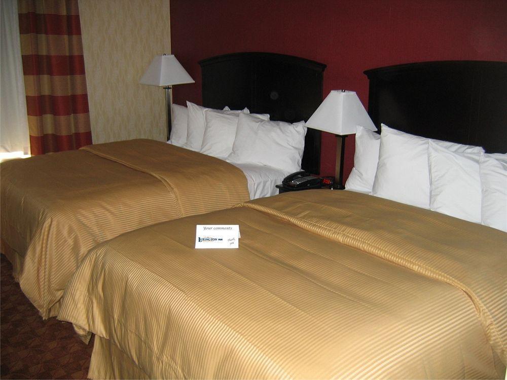 Lex View Inn At Jfk Airport نيو يورك المظهر الخارجي الصورة