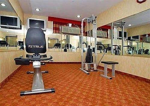 Lex View Inn At Jfk Airport نيو يورك المرافق الصورة